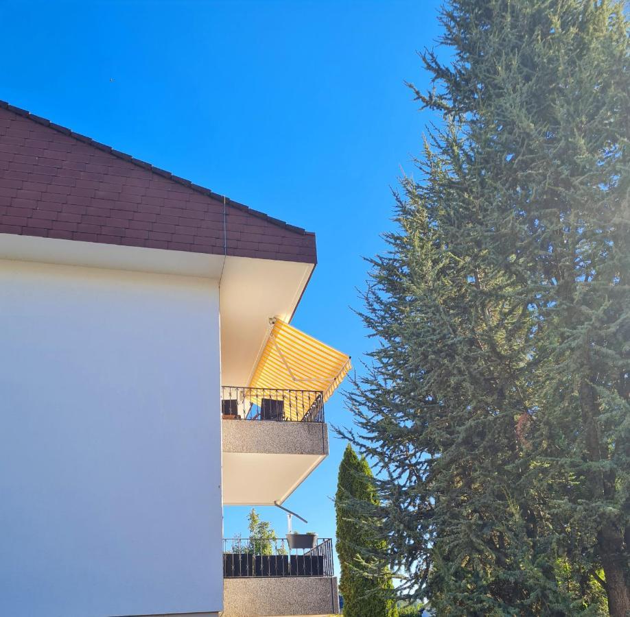 Ferienwohnung Rheinblick In Buesingen -Keine Monteure- Busingen Exterior photo